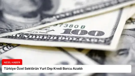 Türkiye Özel Sektörün Yurt Dışı Kredi Borcu Azaldı