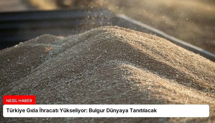 Türkiye Gıda İhracatı Yükseliyor: Bulgur Dünyaya Tanıtılacak