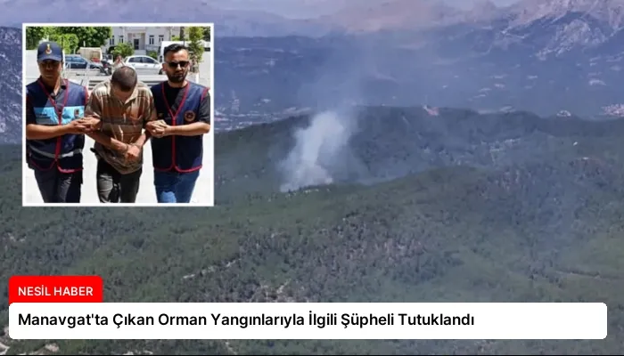 Manavgat’ta Çıkan Orman Yangınlarıyla İlgili Şüpheli Tutuklandı