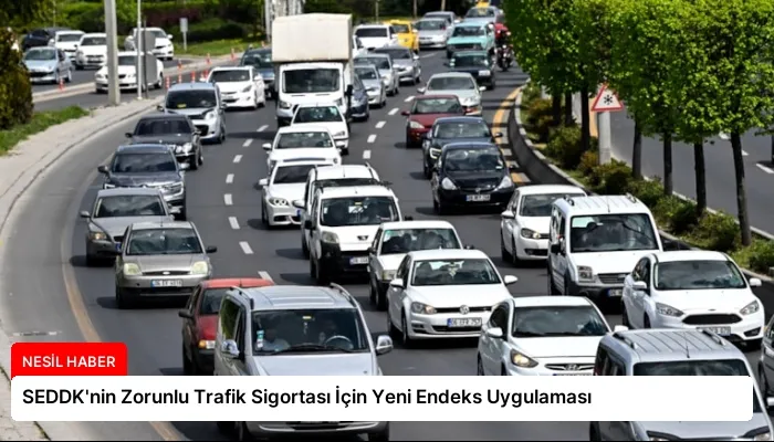 SEDDK’nin Zorunlu Trafik Sigortası İçin Yeni Endeks Uygulaması