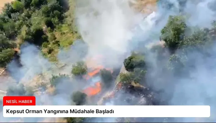Kepsut Orman Yangınına Müdahale Başladı