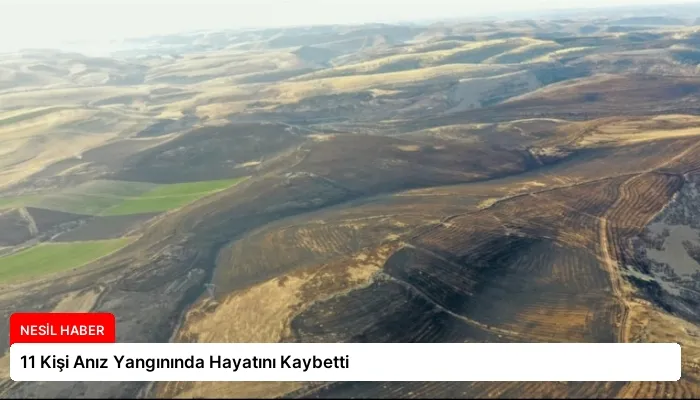 11 Kişi Anız Yangınında Hayatını Kaybetti