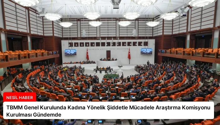 TBMM Genel Kurulunda Kadına Yönelik Şiddetle Mücadele Araştırma Komisyonu Kurulması Gündemde
