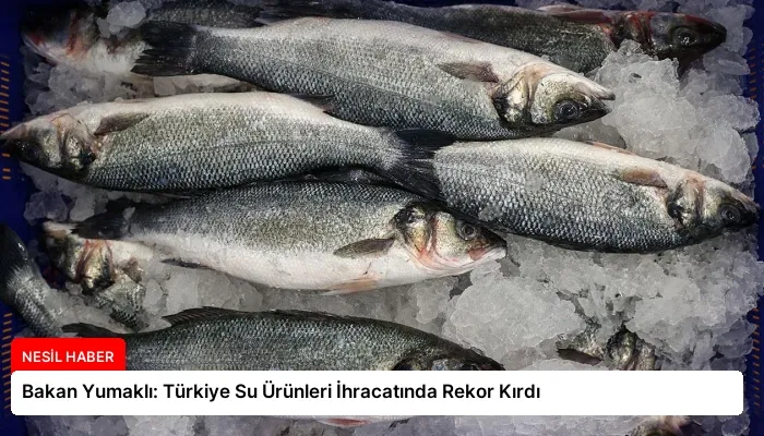 Bakan Yumaklı: Türkiye Su Ürünleri İhracatında Rekor Kırdı