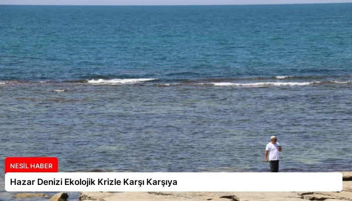 Hazar Denizi Ekolojik Krizle Karşı Karşıya