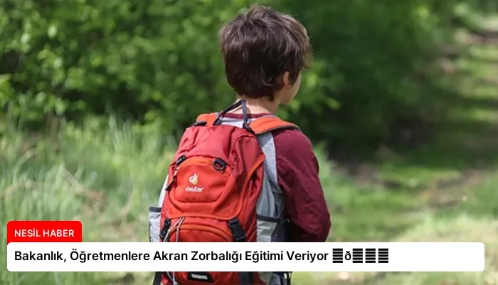 Bakanlık, Öğretmenlere Akran Zorbalığı Eğitimi Veriyor ⏬👇