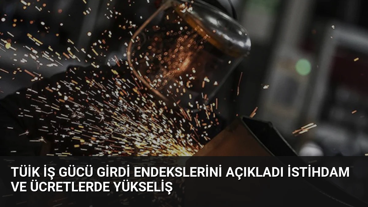 TÜİK İş Gücü Girdi Endekslerini Açıkladı İstihdam ve Ücretlerde Yükseliş
