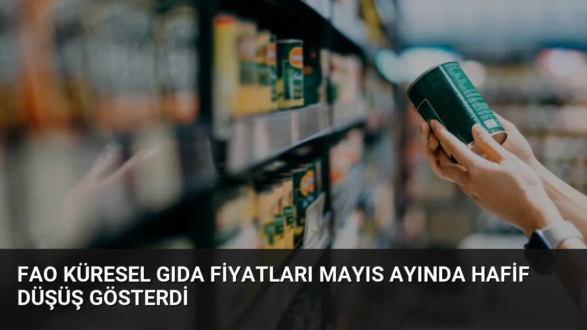 FAO Küresel Gıda Fiyatları Mayıs Ayında Hafif Düşüş Gösterdi