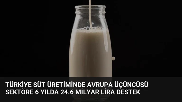Türkiye Süt Üretiminde Avrupa Üçüncüsü Sektöre 6 Yılda 24.6 Milyar Lira Destek