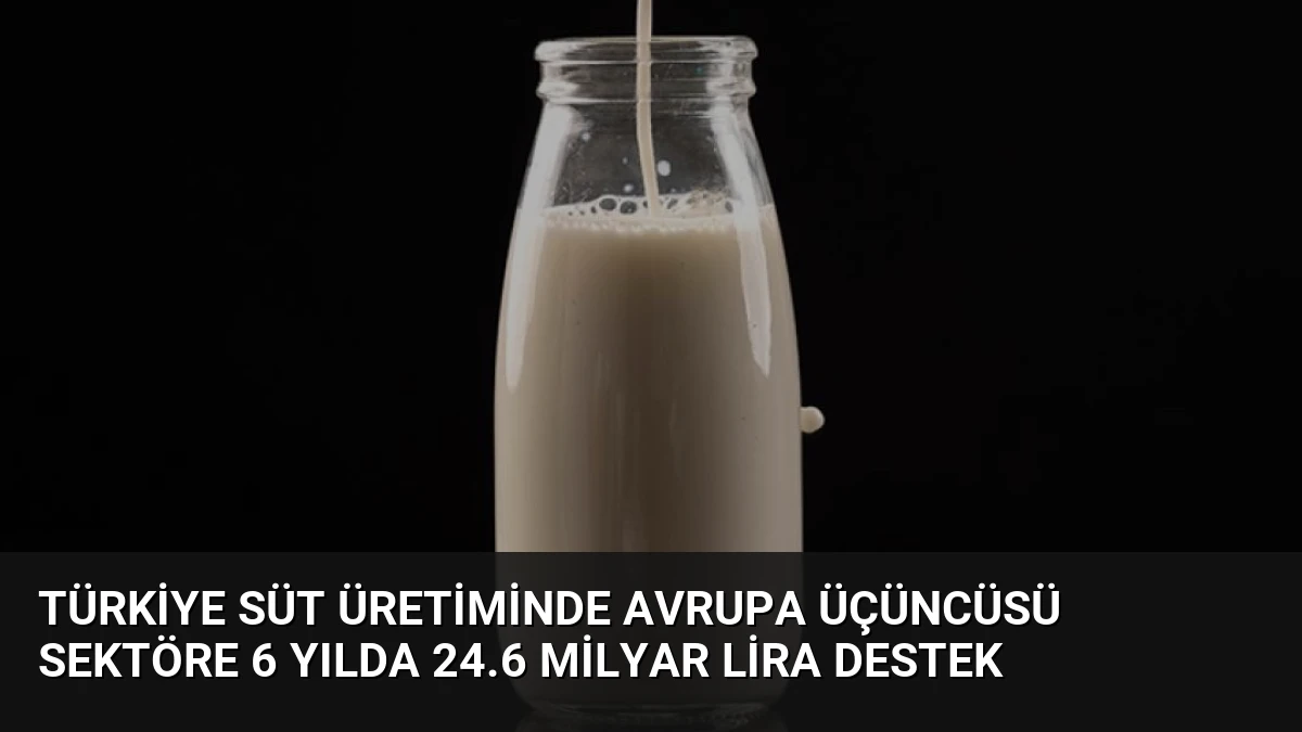 Türkiye Süt Üretiminde Avrupa Üçüncüsü Sektöre 6 Yılda 24.6 Milyar Lira Destek