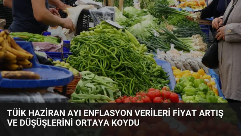 TÜİK Haziran Ayı Enflasyon Verileri Fiyat Artış ve Düşüşlerini Ortaya Koydu