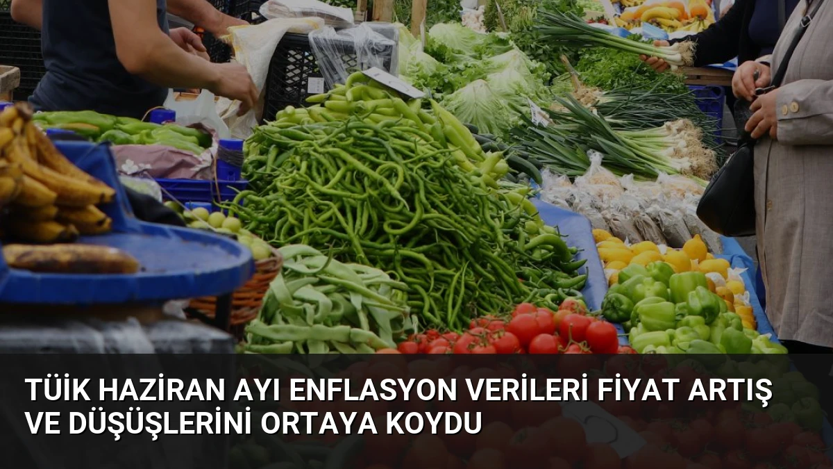 TÜİK Haziran Ayı Enflasyon Verileri Fiyat Artış ve Düşüşlerini Ortaya Koydu