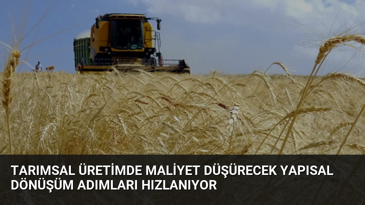 Tarımsal Üretimde Maliyet Düşürecek Yapısal Dönüşüm Adımları Hızlanıyor