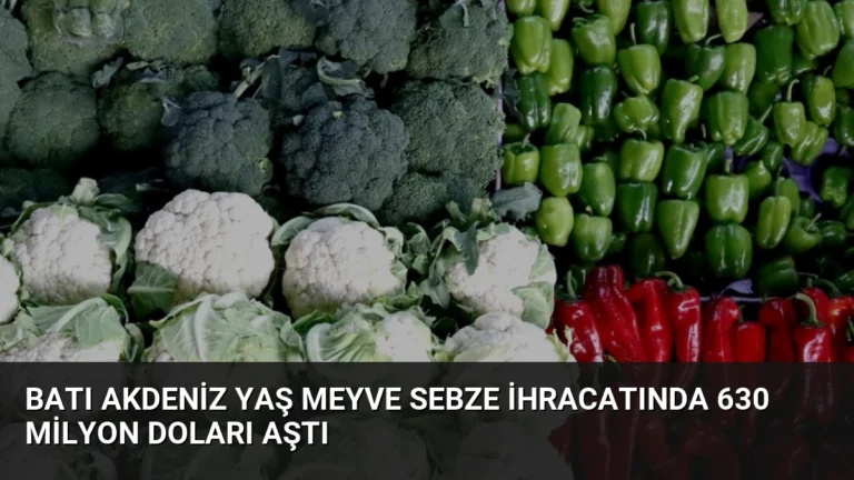 Batı Akdeniz Yaş Meyve Sebze İhracatında 630 Milyon Doları Aştı
