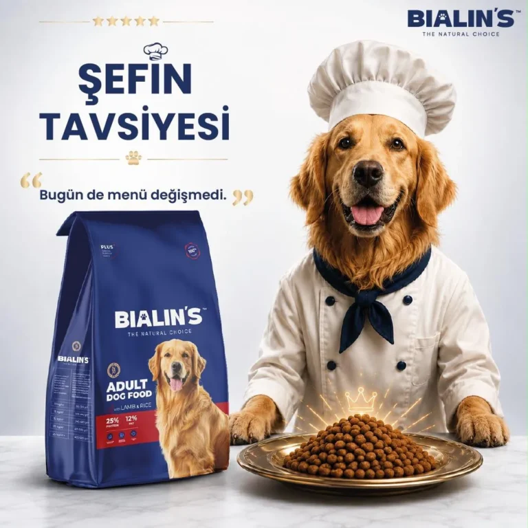 Bialin’s ile Kedi ve Köpekler İçin Doğal ve Yüksek Proteinli Beslenme Dönemi Başladı