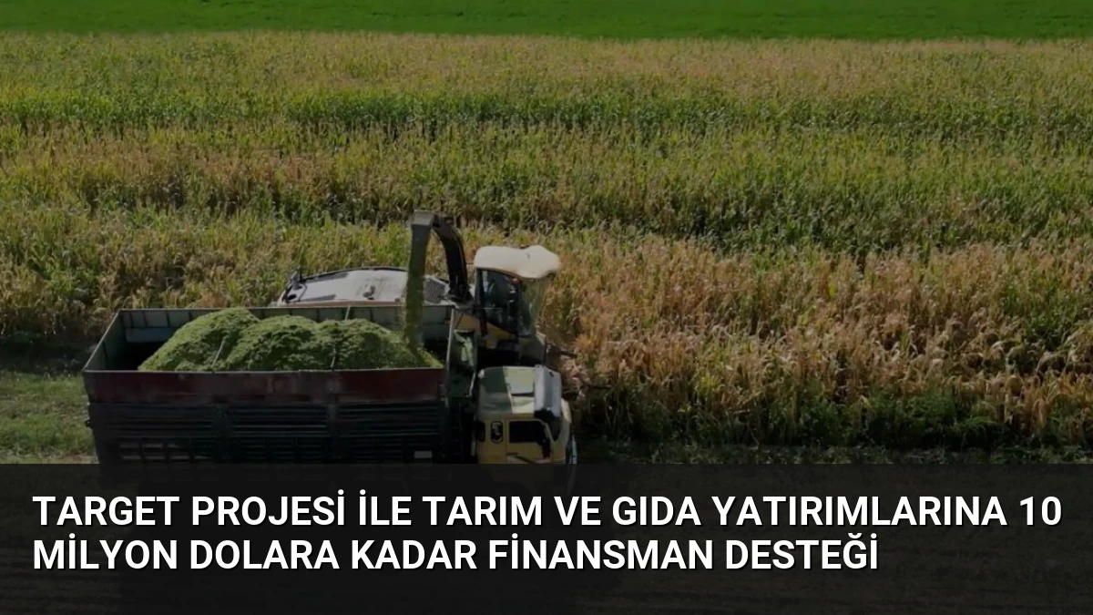 TARGET Projesi ile Tarım ve Gıda Yatırımlarına 10 Milyon Dolara Kadar Finansman Desteği