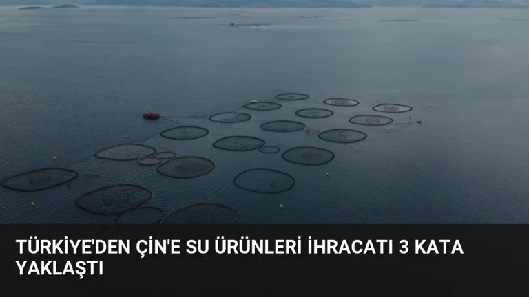 Türkiye’den Çin’e Su Ürünleri İhracatı 3 Kata Yaklaştı